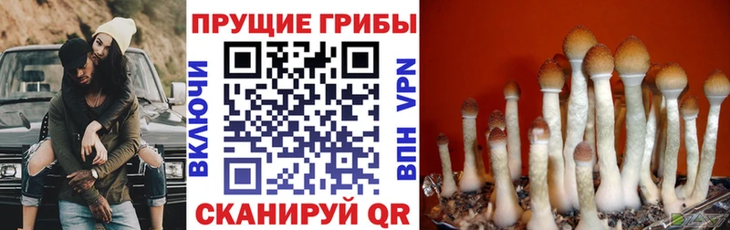 Галлюциногенные грибы прущие грибы  МЕГА рабочий сайт  Верхнеуральск 